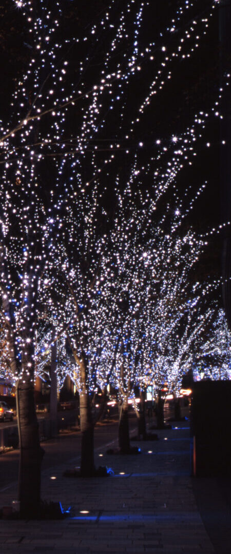 六本木ヒルズ　けやき坂クリスマスイルミネーション Snow & Blue 2003